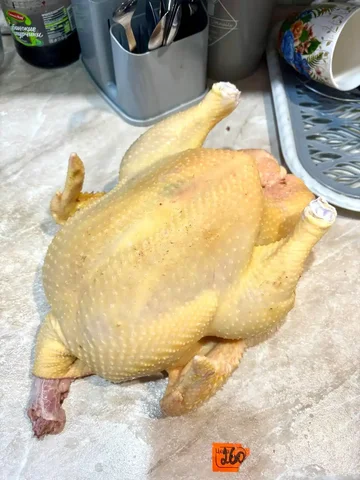 Куры свежий забой - Собаки в Уфа