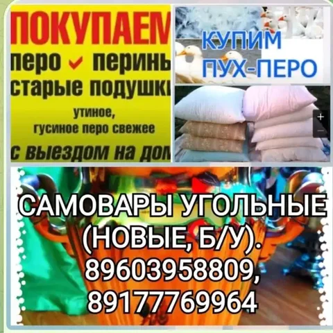 Покупка пуха гусиного и утиного, а также старых подушек и перин - Барахолка в Уфа