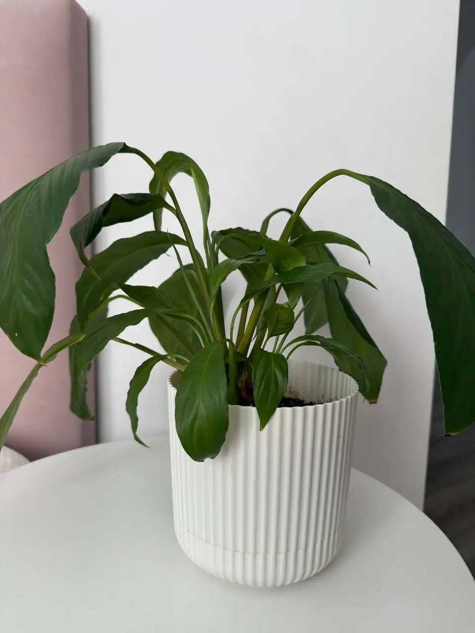 Женское счастье - Барахолка в Уфа