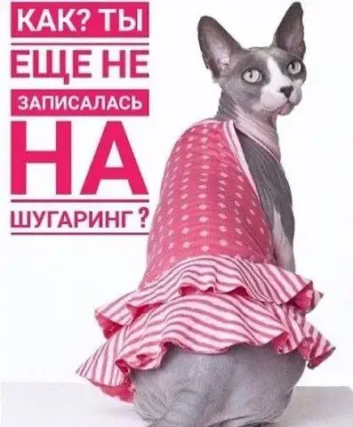 Шугаринг сахарной пастой на дому - Услуги в Уфа