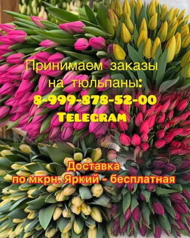 Предзаказ тюльпанов к 8 марта - Цветы в Уфа