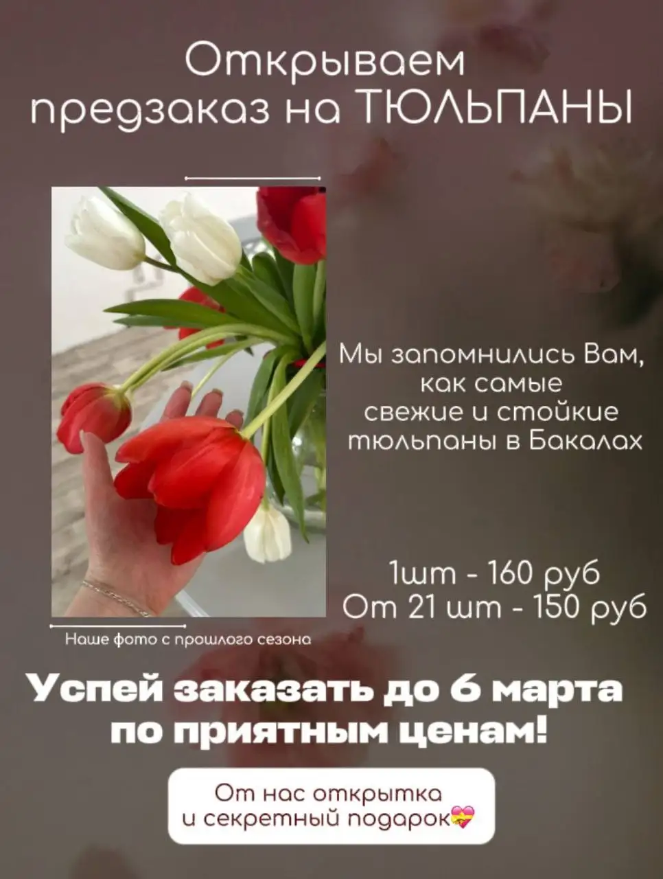 Продажа тюльпанов к 8 марта с доставкой в Ярком, Деме и Бакалах - Цветы (Хобби и отдых) в Уфа