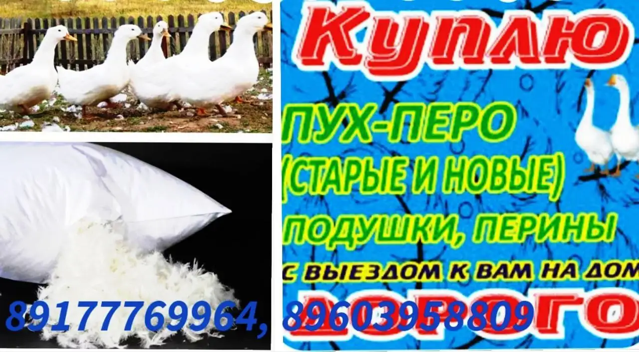 Покупка гусиного и утиного пуха, а также старых подушек и перин - Сырье и материалы (Барахолка) в Уфа