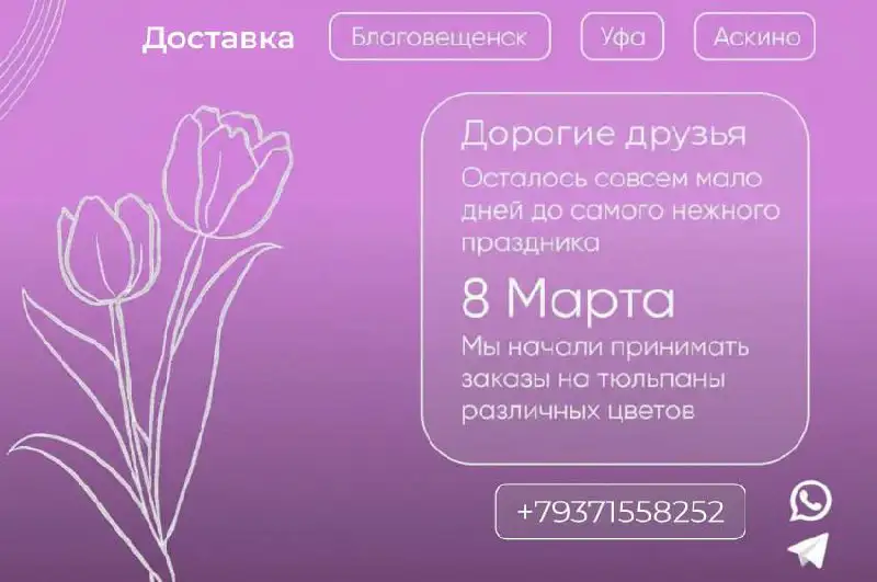 Тюльпаны со скидкой - Цветы (Барахолка) в Уфа