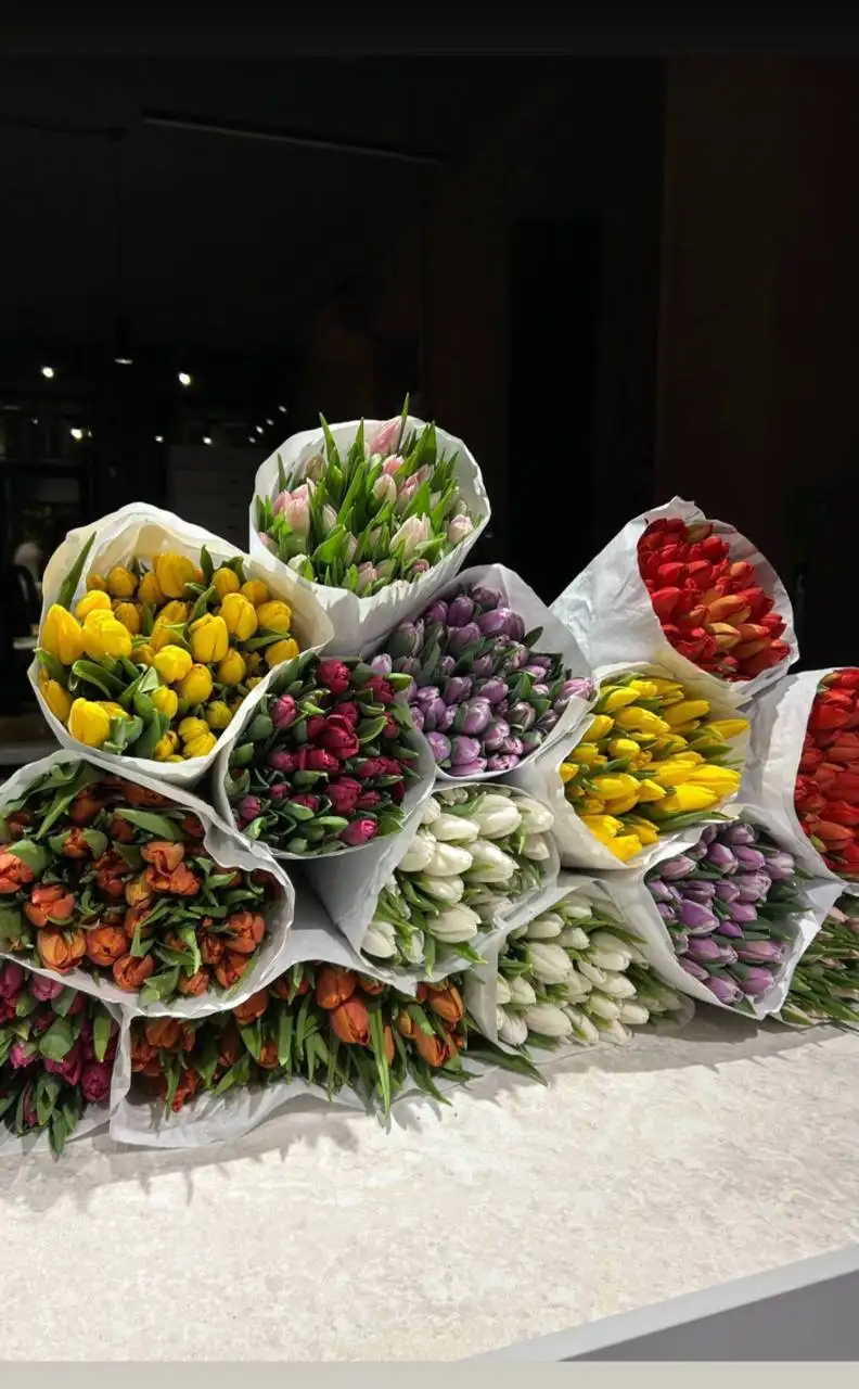 Тюльпаны со скидкой - Цветы (Барахолка) в Уфа