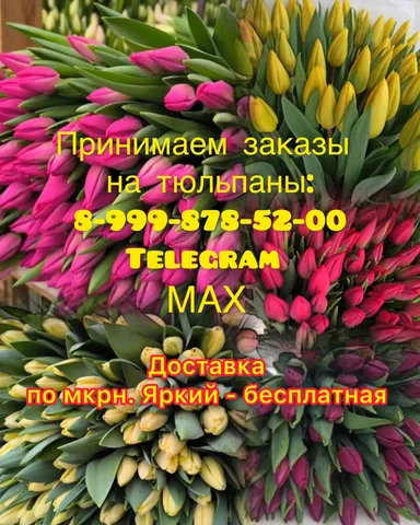 Тюльпаны к 8 марта - частное объявление в Уфа