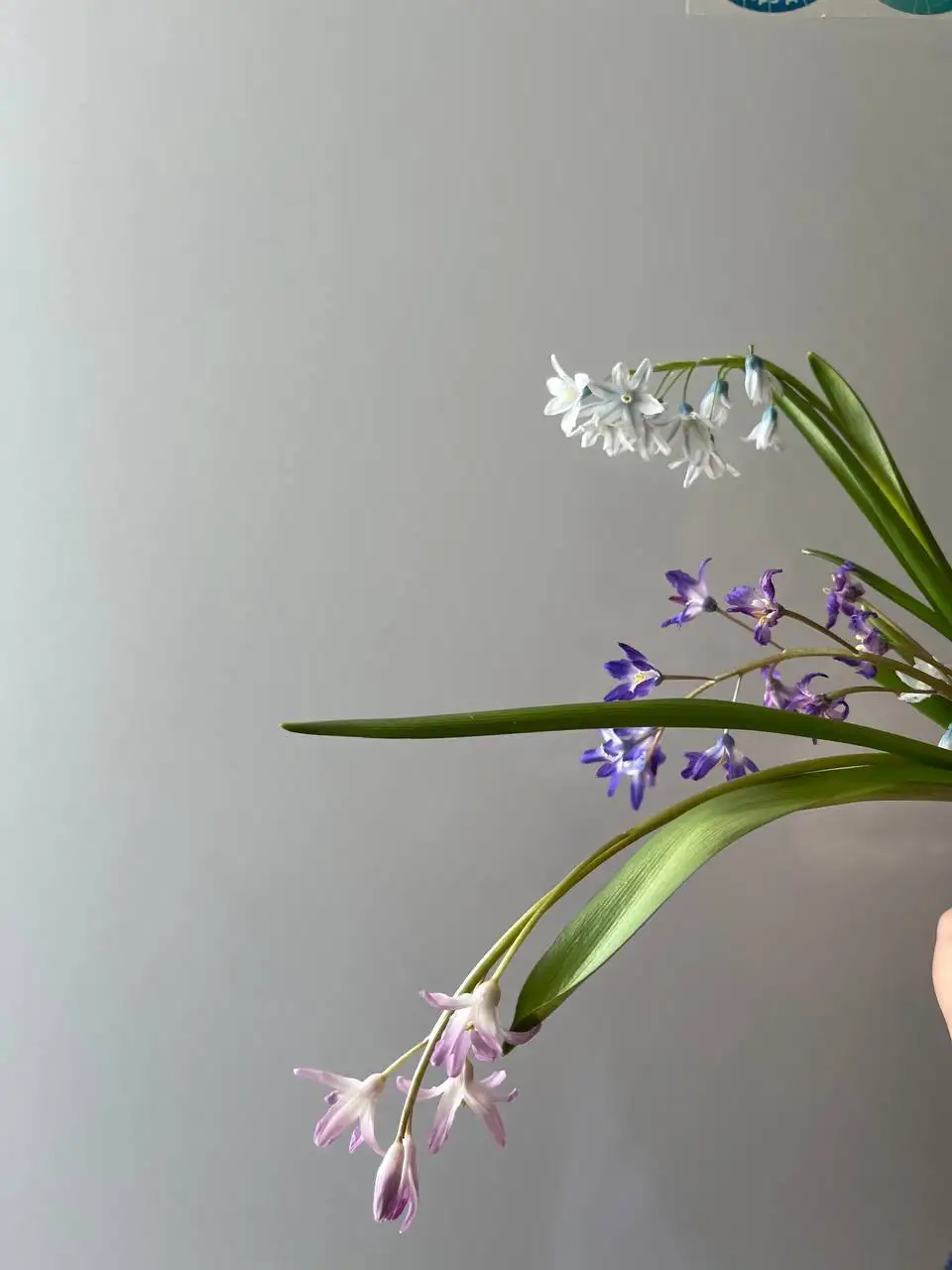 Букетик цветов - Цветы (Хобби и отдых) в Уфа