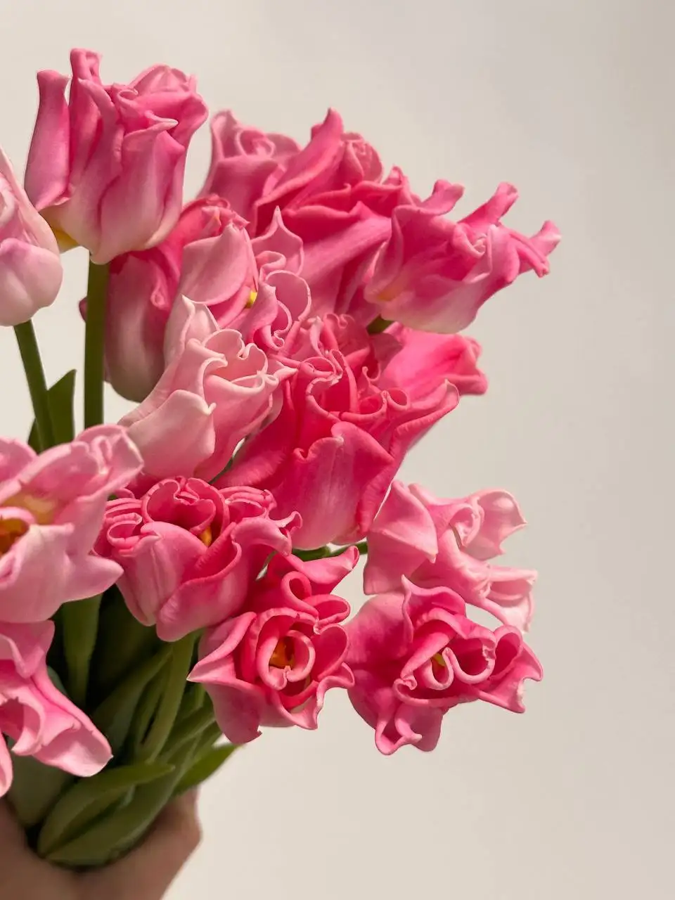 Свежая срезка цветов - Цветы (Хобби и отдых) в Уфа