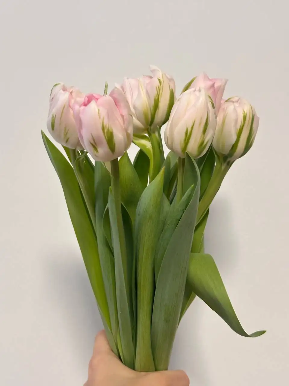 Свежая срезка цветов - Цветы (Хобби и отдых) в Уфа