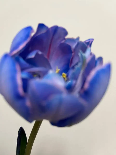 Продажа по 100 рублей - Автошины в Уфа