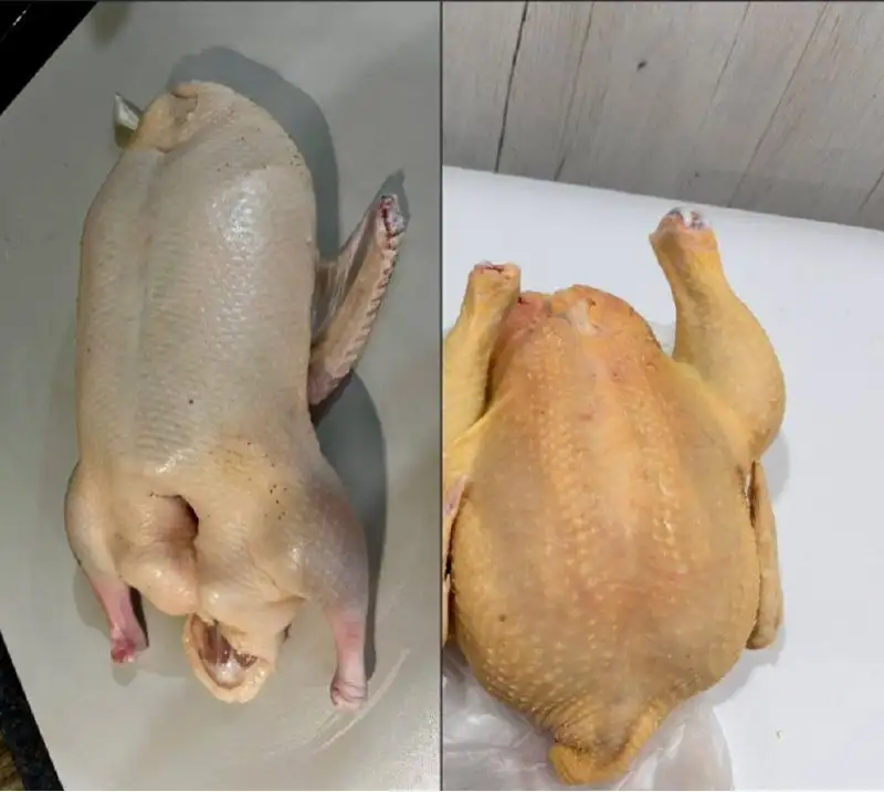 Свежий забой кур и индоуток с доставкой - Продукты питания (Барахолка) в Уфа