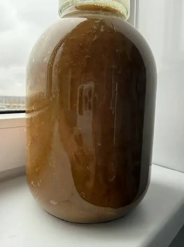 Мед цветочно-гречишный 2025 года - Продукты питания в Уфа