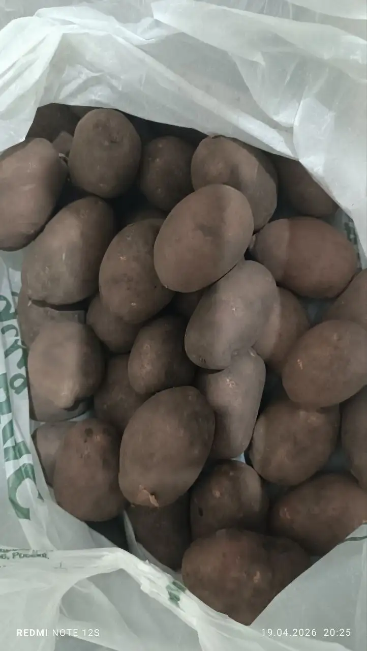 Продажа картошки с огорода - Овощи и фрукты (Продукты питания) в Уфа