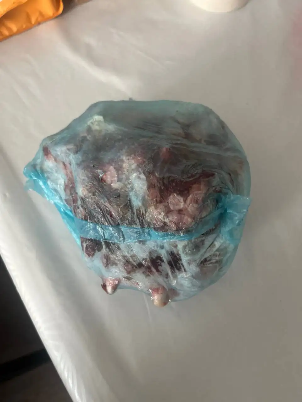 Козлятина бесплатно - Животные в Уфа