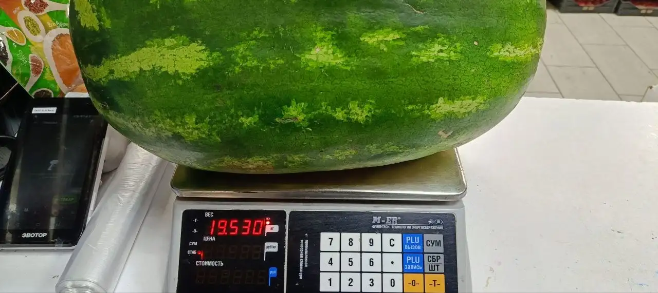 Сладкие арбузы в магазине фруктов и овощей - Продукты питания (Барахолка) в Уфа
