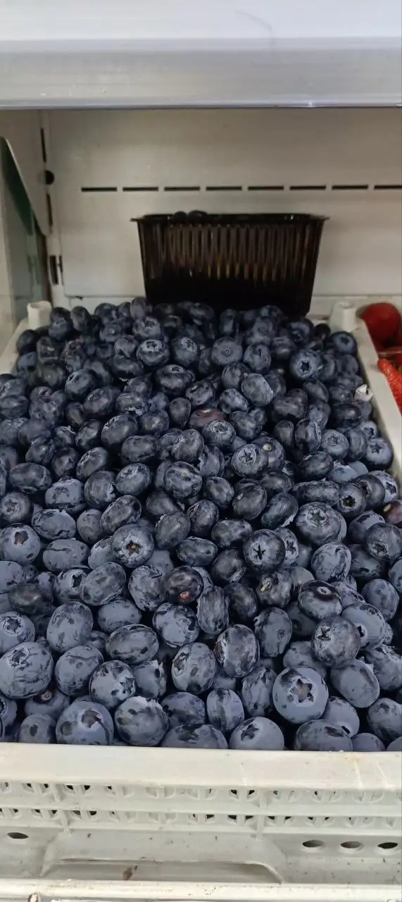Прайс-лист на фрукты и овощи в Уфе - Продукты питания (Барахолка) в Уфа