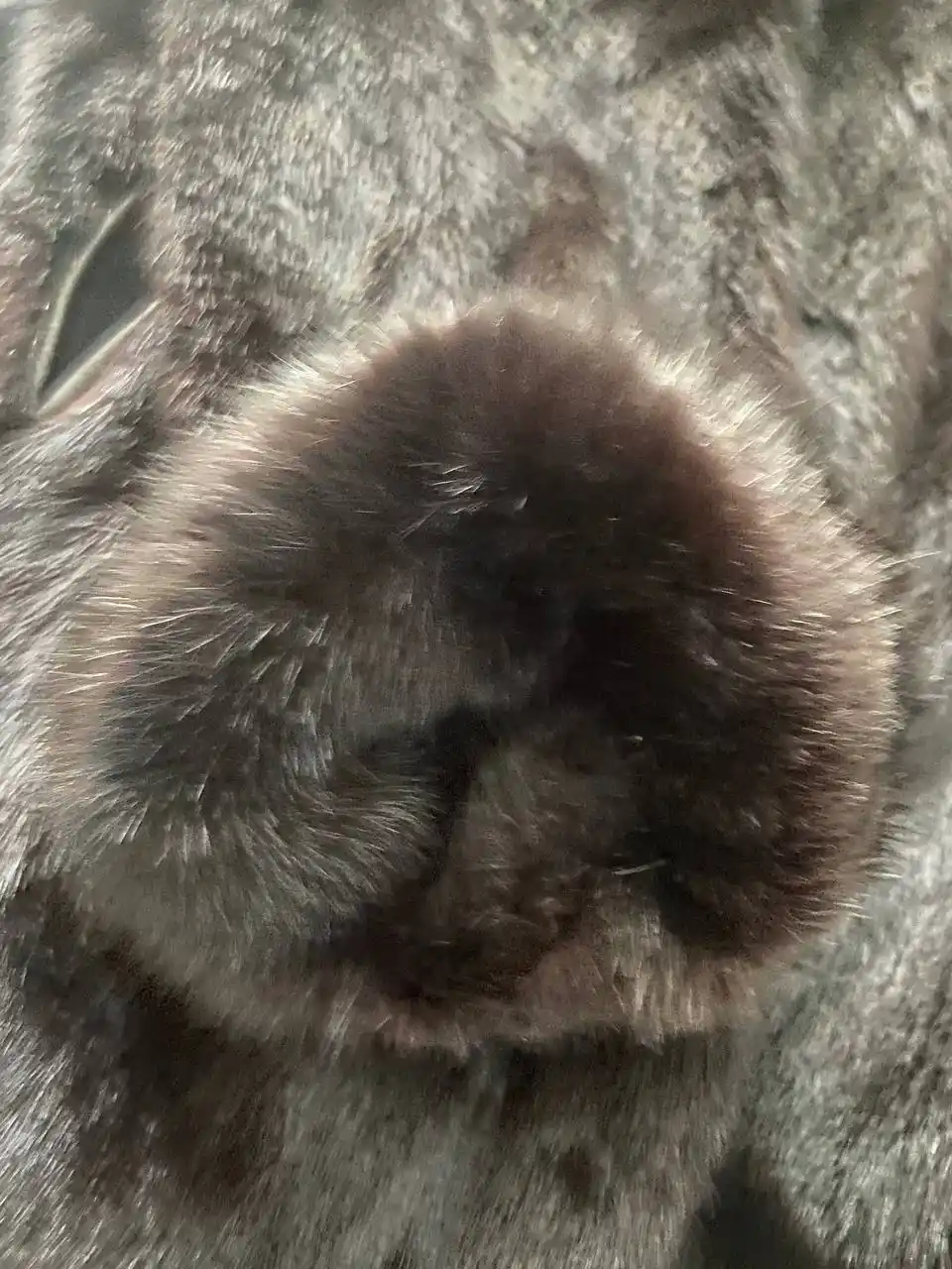 Норка 48 размер