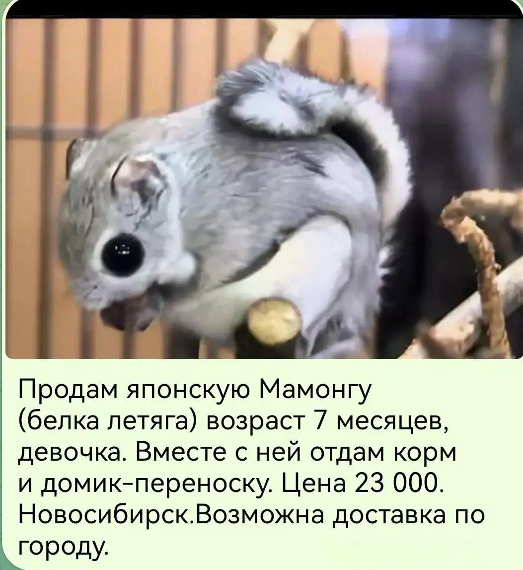 Продажа б/у карт - Барахолка в Кемерово