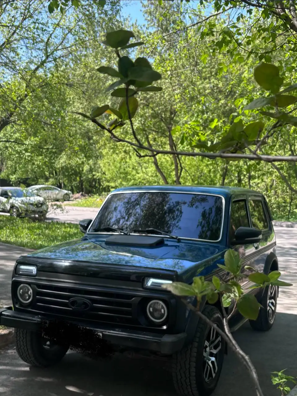 Лада Нива 2011 - Легковые автомобили (Авто) в Неизвестно