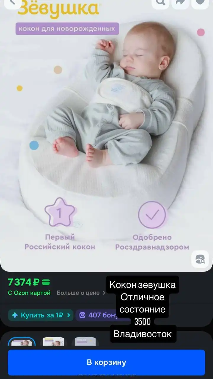 Кокон зевушка в идеале