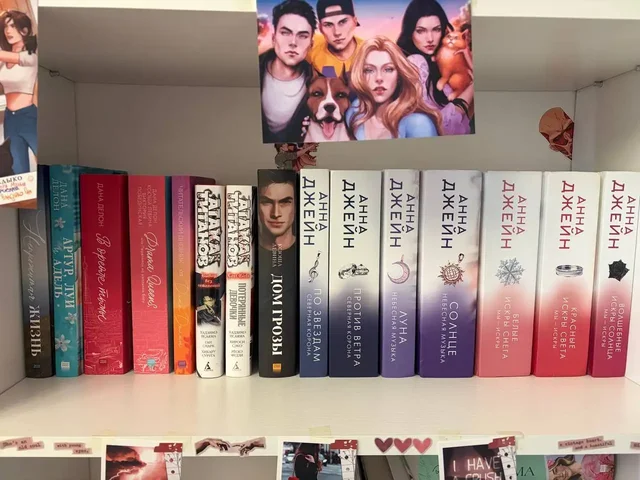 Распродажа книг в идеальном состоянии - DVD диски в Владивосток