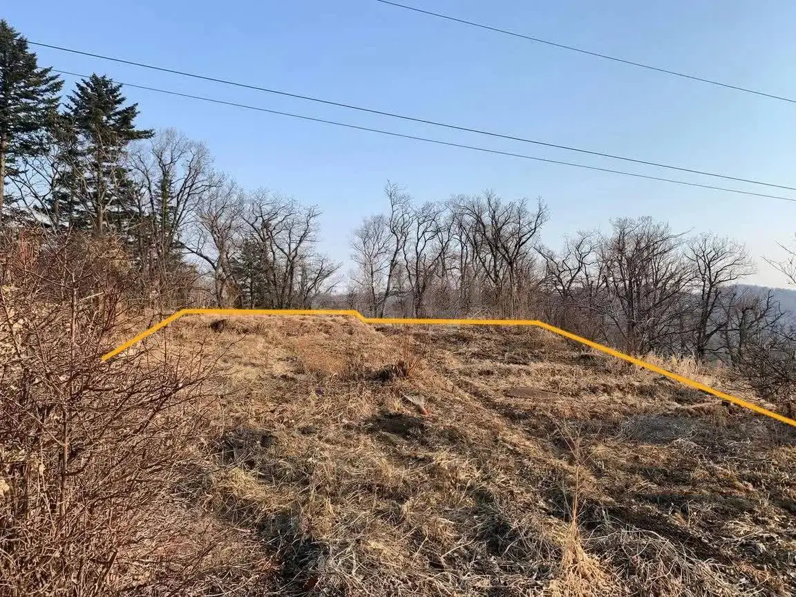 Участок в районе Спутника - Земельные участки (Недвижимость) в Владивосток