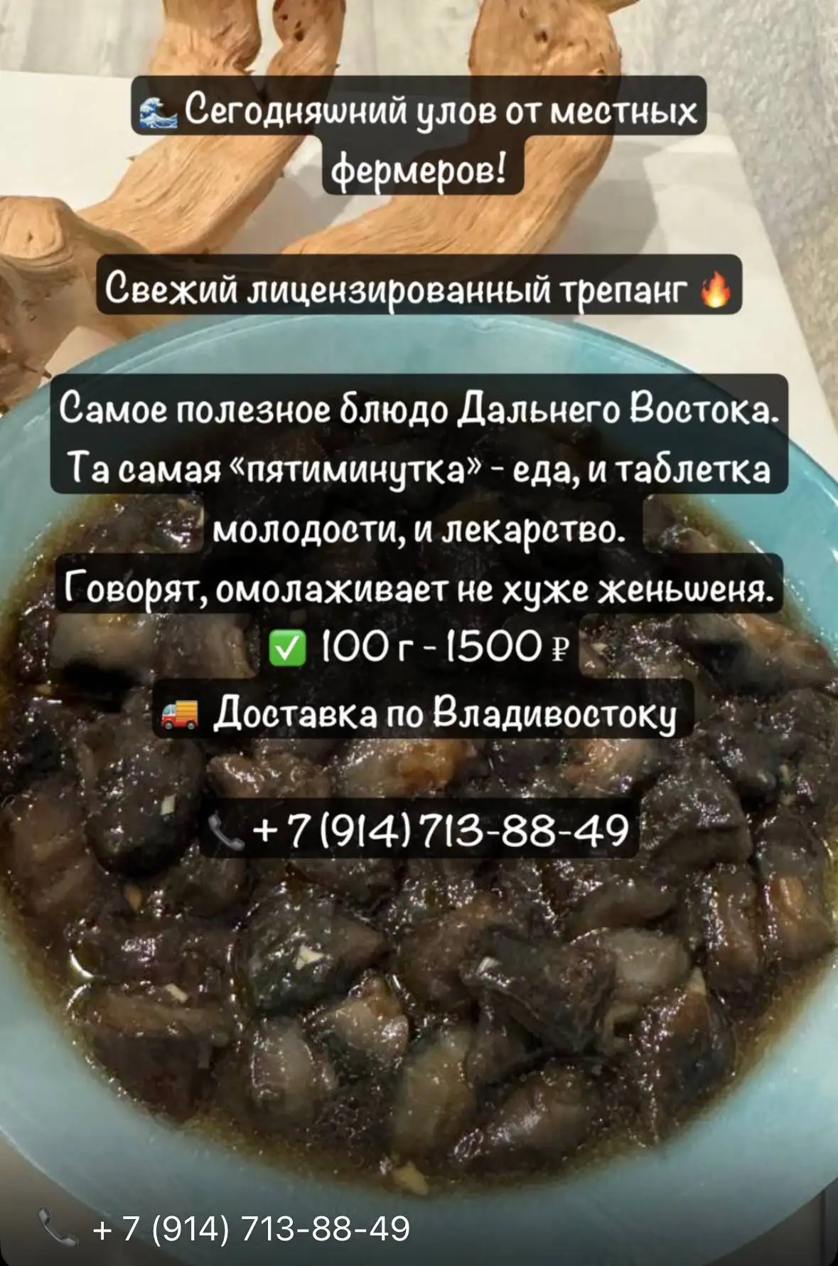 Продажа свежего трепанга пятиминутка - Продукты питания (Барахолка) в Владивосток