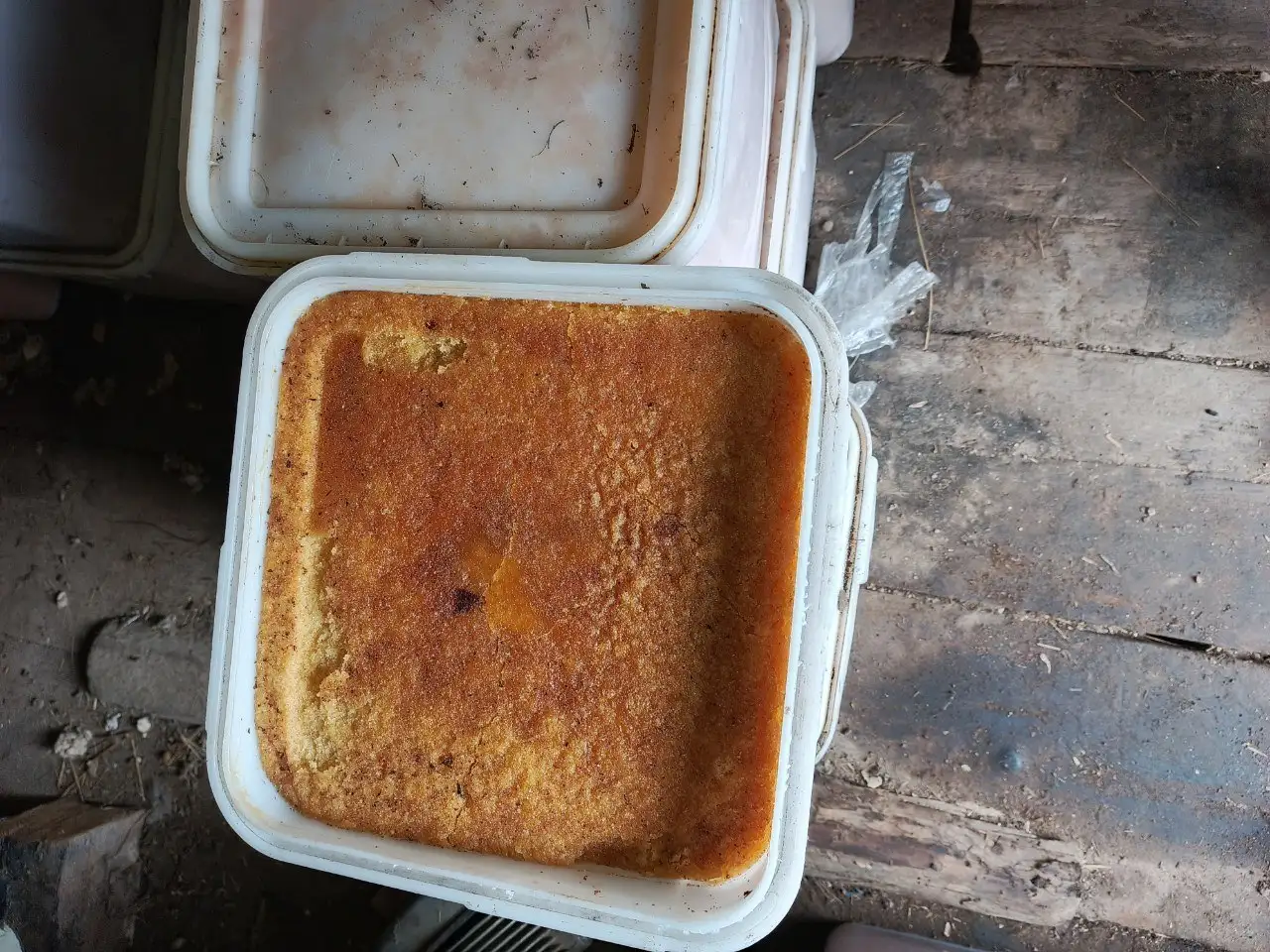 Продам цветочный мёд - Барахолка в Владивосток