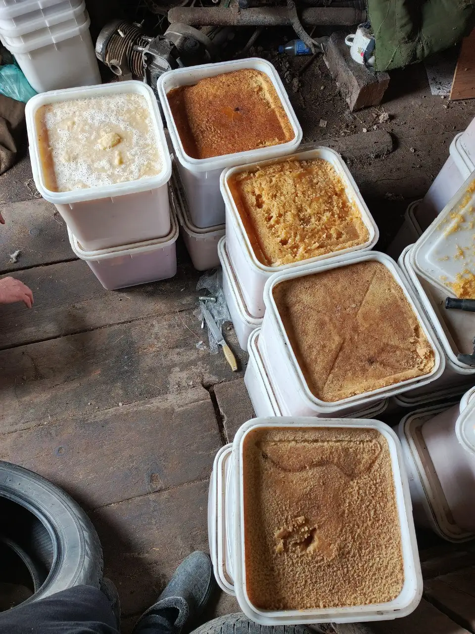 Продам цветочный мёд - Барахолка в Владивосток