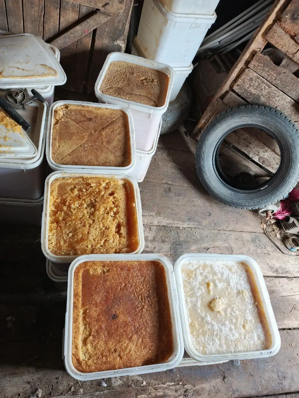 Продам цветочный мёд - Барахолка в Владивосток