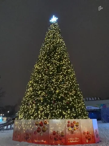 Установка новогодней ёлки в Центральном парке Белгорода - Услуги в Белгород