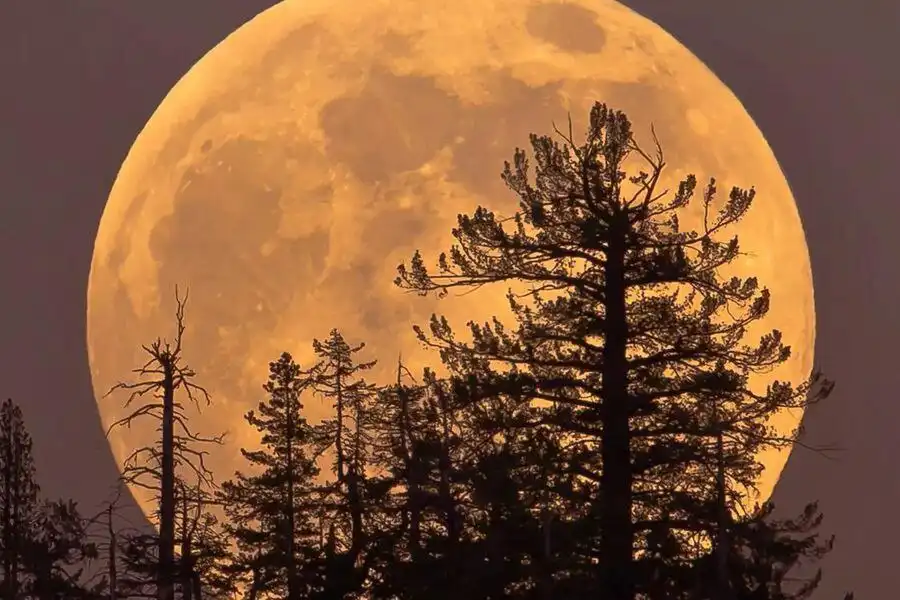 Последнее Суперлуние года