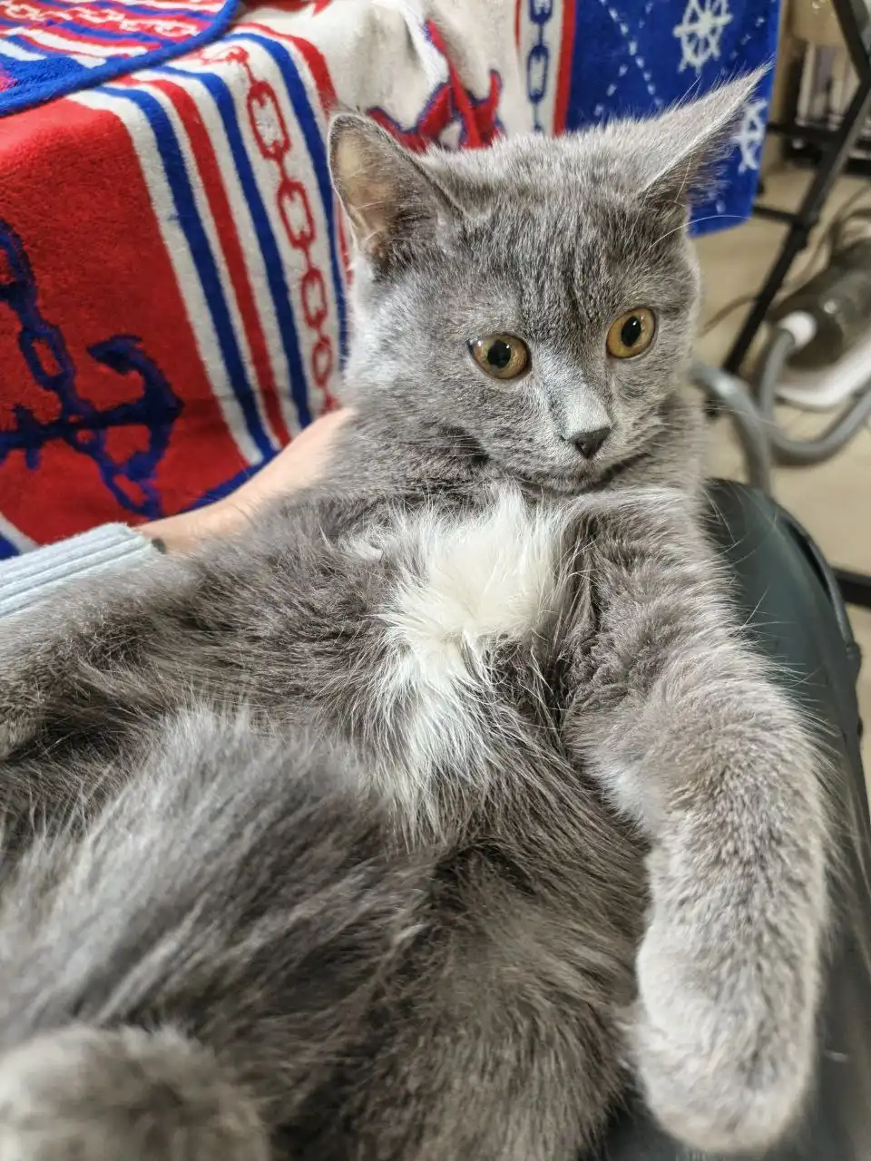 Девочка 5 месяцев в добрые руки