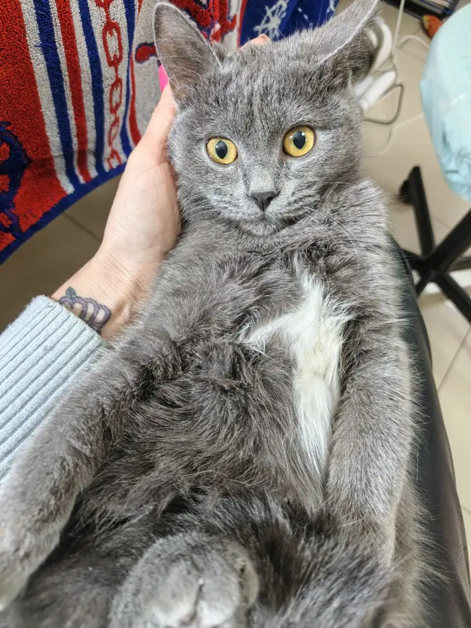 Девочка 5 месяцев в добрые руки