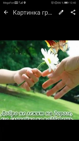 Доска объявлений Ставропольского края - частное объявление в Ставропольский край