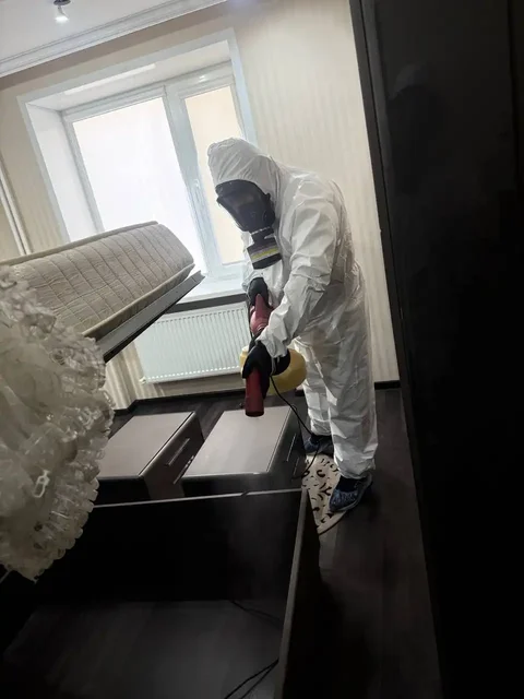 Услуги дезинфектора: обработка от вредителей и уборка - частное объявление в Ставропольский край
