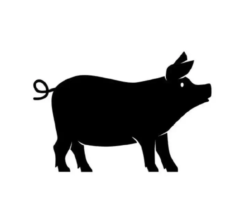 Закупка свиней и хряков в Ставропольском крае