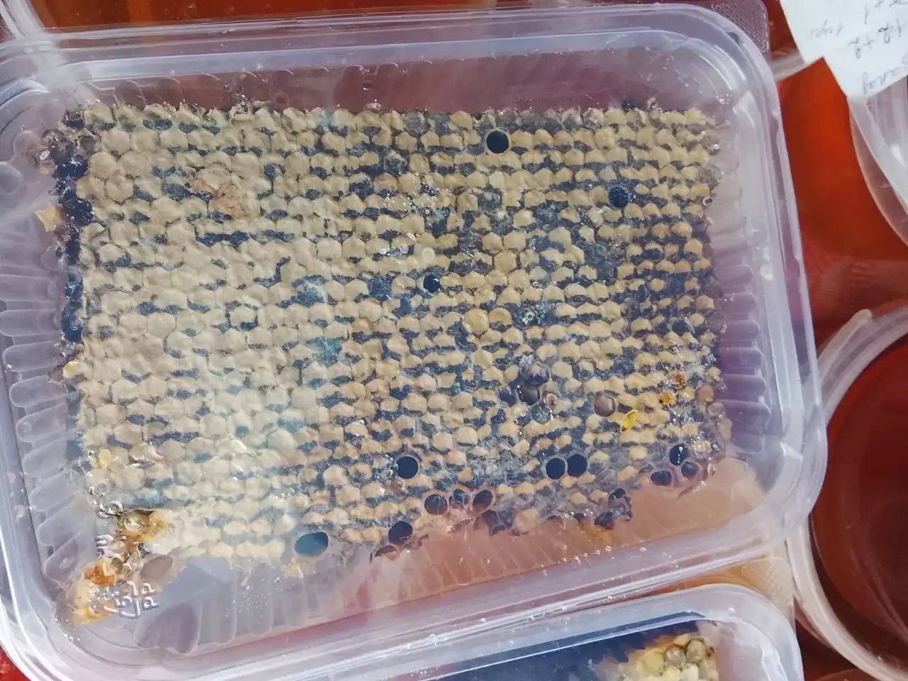 Натуральный мёд с семейной пасеки из экологически чистых районов Ставропольского края - Продукты питания (Барахолка) в Ставрополь