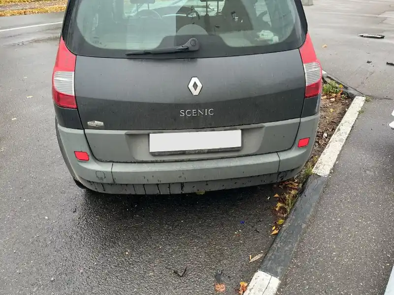 Renault Scenic 2 поколение [рестайлинг] 2007