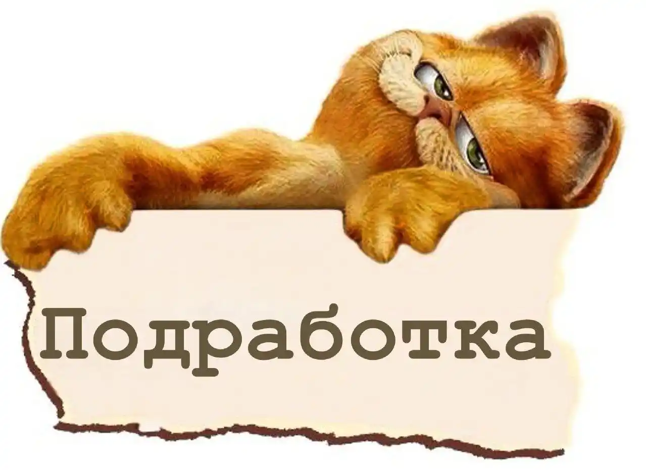 Требуется начинающий специалист - частное объявление в Уфа