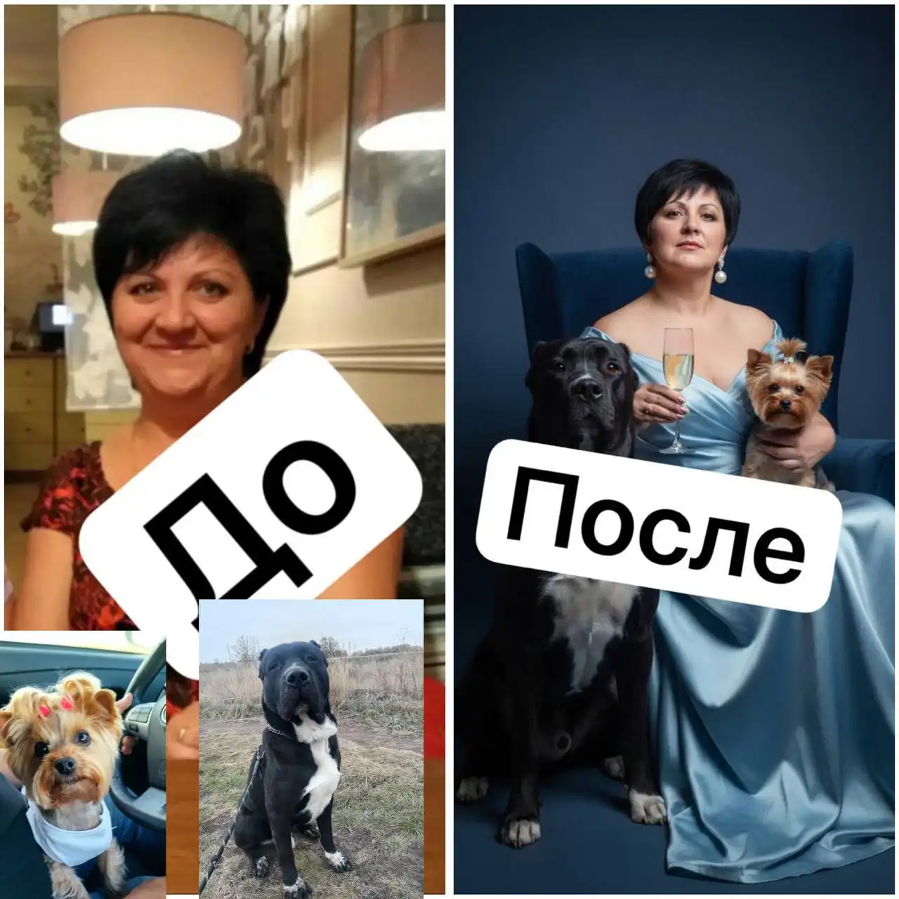 Новогодние фотографии и календари 2026