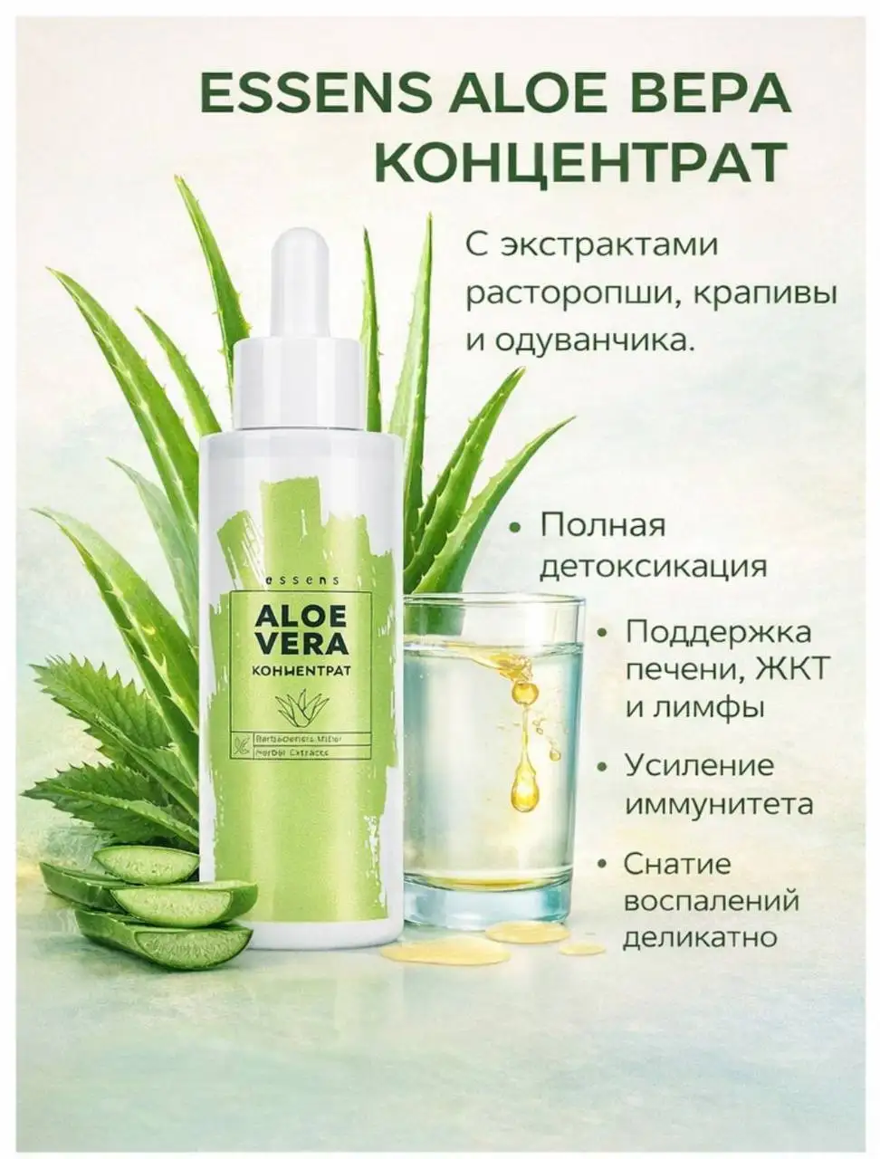 Концентрированный алоэ вера с экстрактами расторопши, одуванчика и крапивы для поддержки организма - Биодобавки (Красота и здоровье) в Саратов