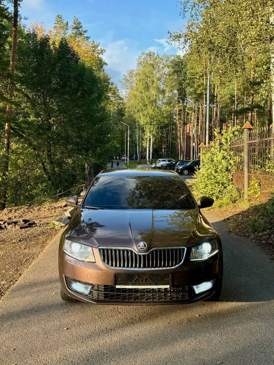 Skoda Octavia A7 2014 1.4 TSI DSG - Легковые автомобили (Авто) в Уфа