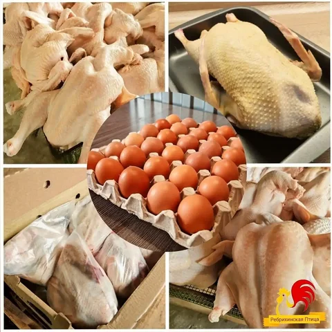Продажа фермерского мяса птицы и яиц с доставкой в Барнаул - Животные в Барнаул