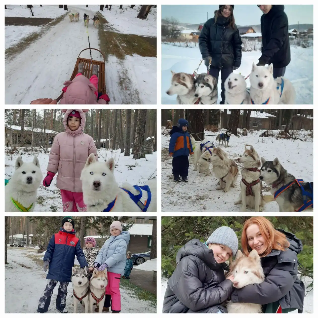 Прокаты на собачьих упряжках с фотосессиями