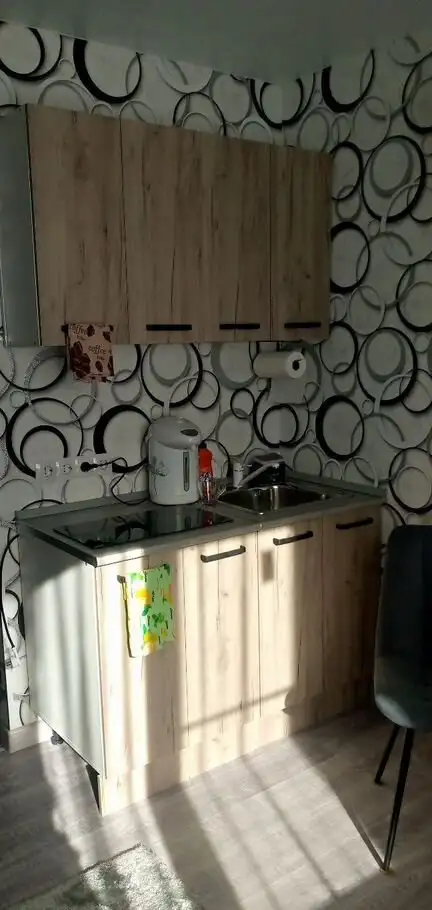 Студия в аренду ул. Северо-Западная 58а - Аренда квартир (Недвижимость) в Барнаул