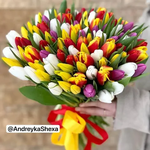 Тюльпаны к 8 марта - Мебель и техника в Барнаул