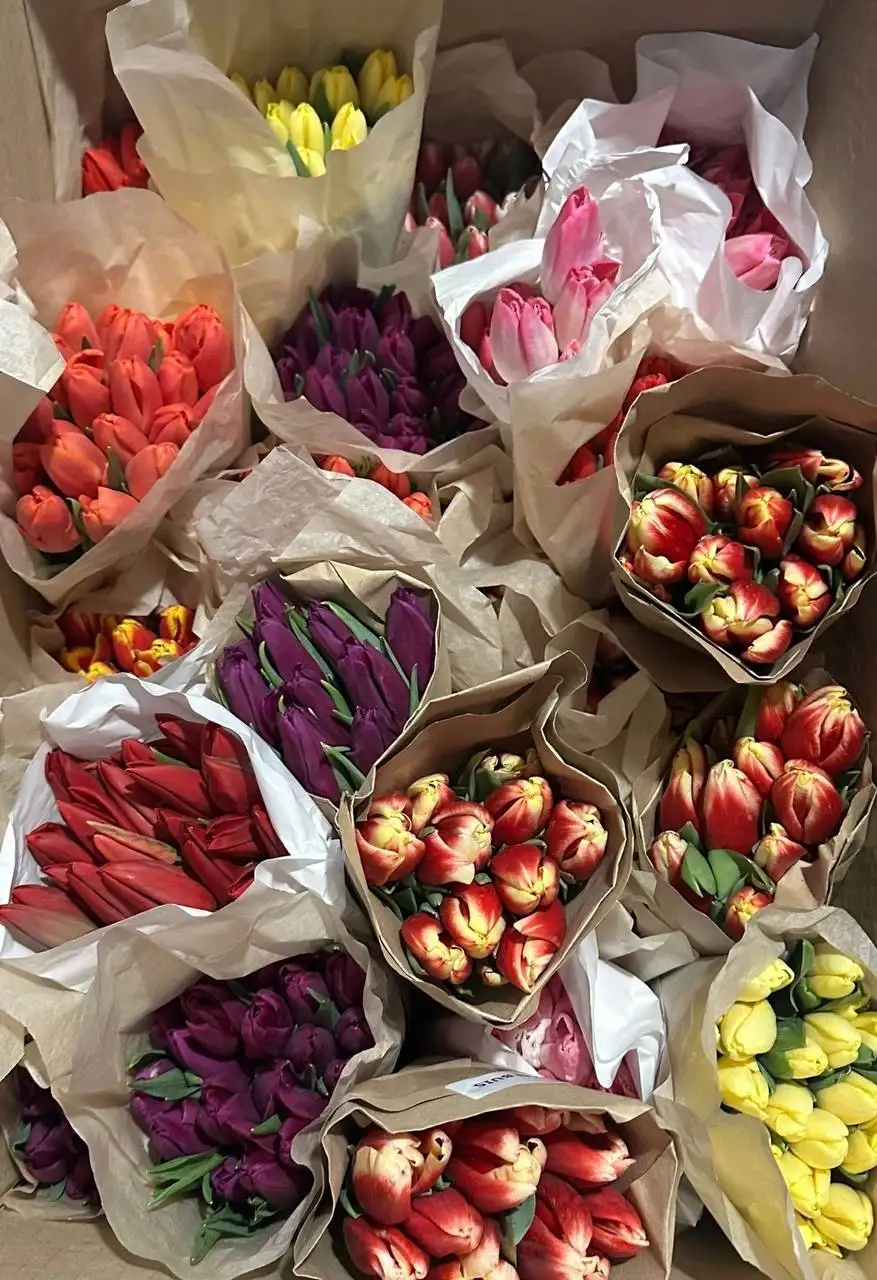 Премиум букеты тюльпанов - Хобби и отдых в Барнаул