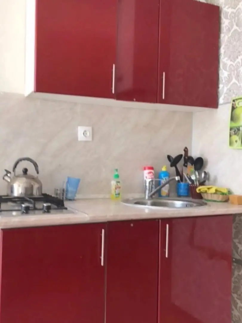 Квартира-студия в аренду на пр. Ленина 47 - Аренда квартир (Недвижимость) в Барнаул