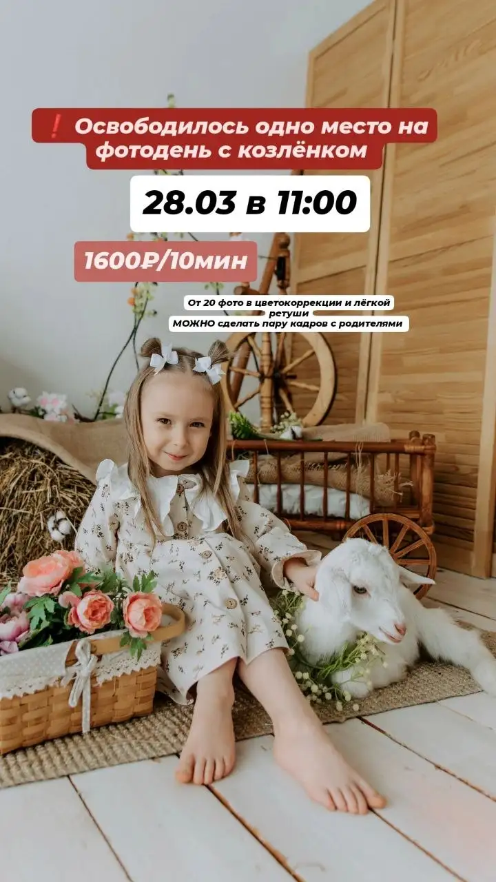 Фотодень с козлёнком в фотостудии - Фотоуслуги (Барахолка) в Барнаул